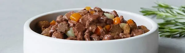 قیمت خرید کنسرو گوشت شتر + مزایا و معایب
