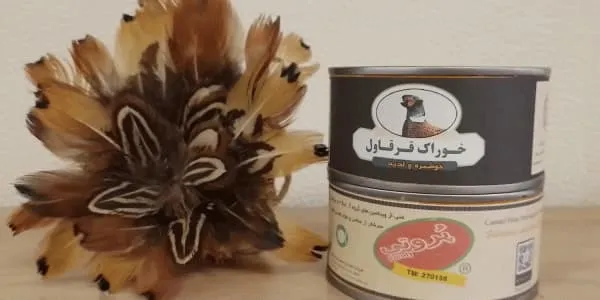 کنسرو گوشت قرقاول پروتی + قیمت خرید، کاربرد، مصارف و خواص