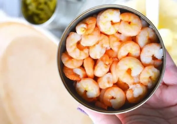 قیمت خرید کنسرو گوشت میگو + تست کیفیت