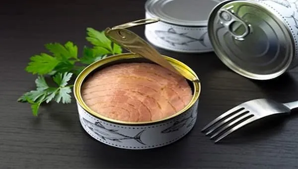 تن ماهی فیله قزل الا + قیمت خرید، کاربرد، مصارف و خواص