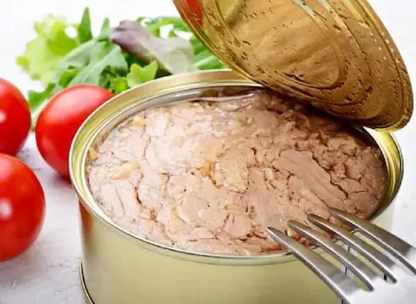 کنسرو تن ماهی خوب + قیمت خرید، کاربرد، مصارف و خواص