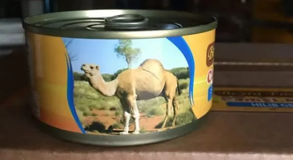 قیمت خرید کنسرو گوشت شتر + مزایا و معایب